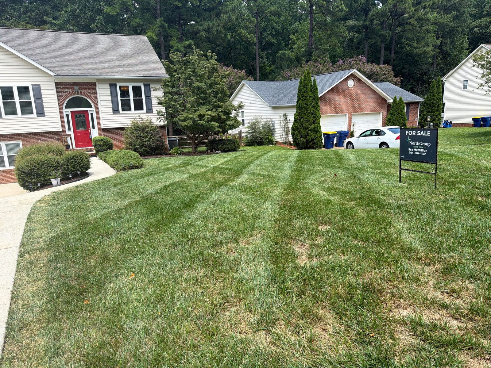 Spencer's Lawn Care lawn transformation